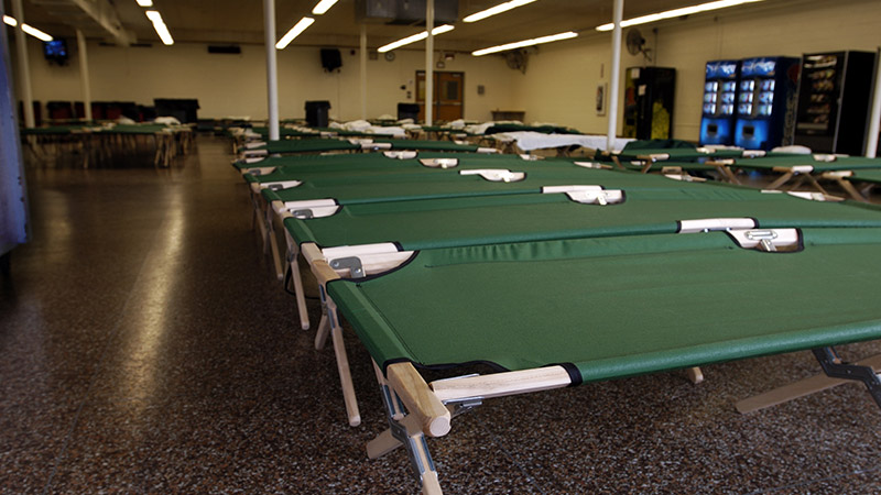 Emergency shelter cot setup